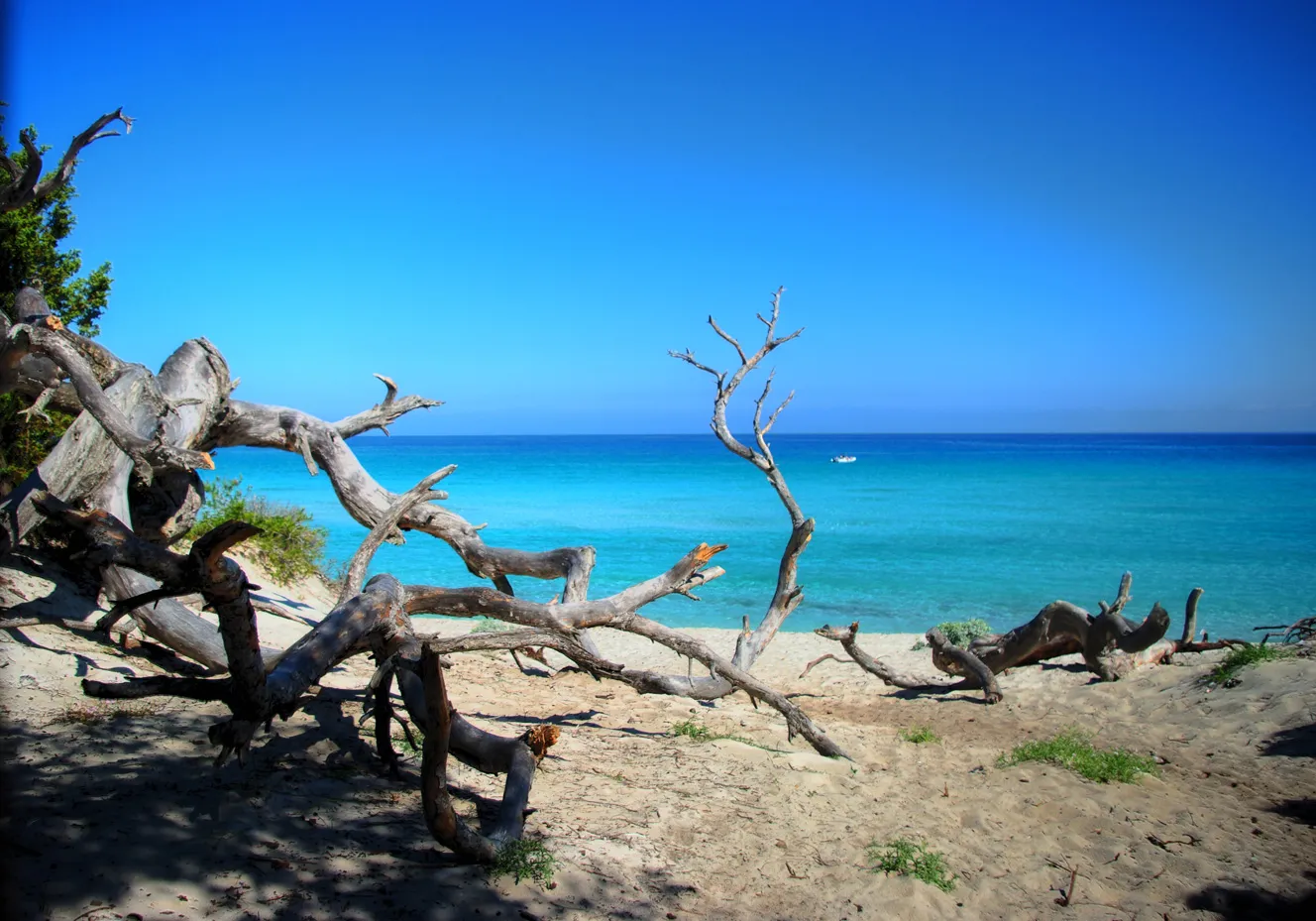 Spiaggia di Saleccia