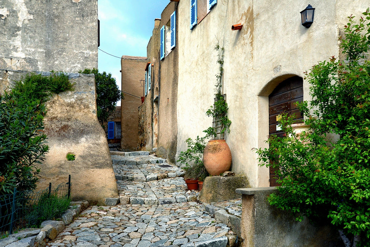 pigna centro