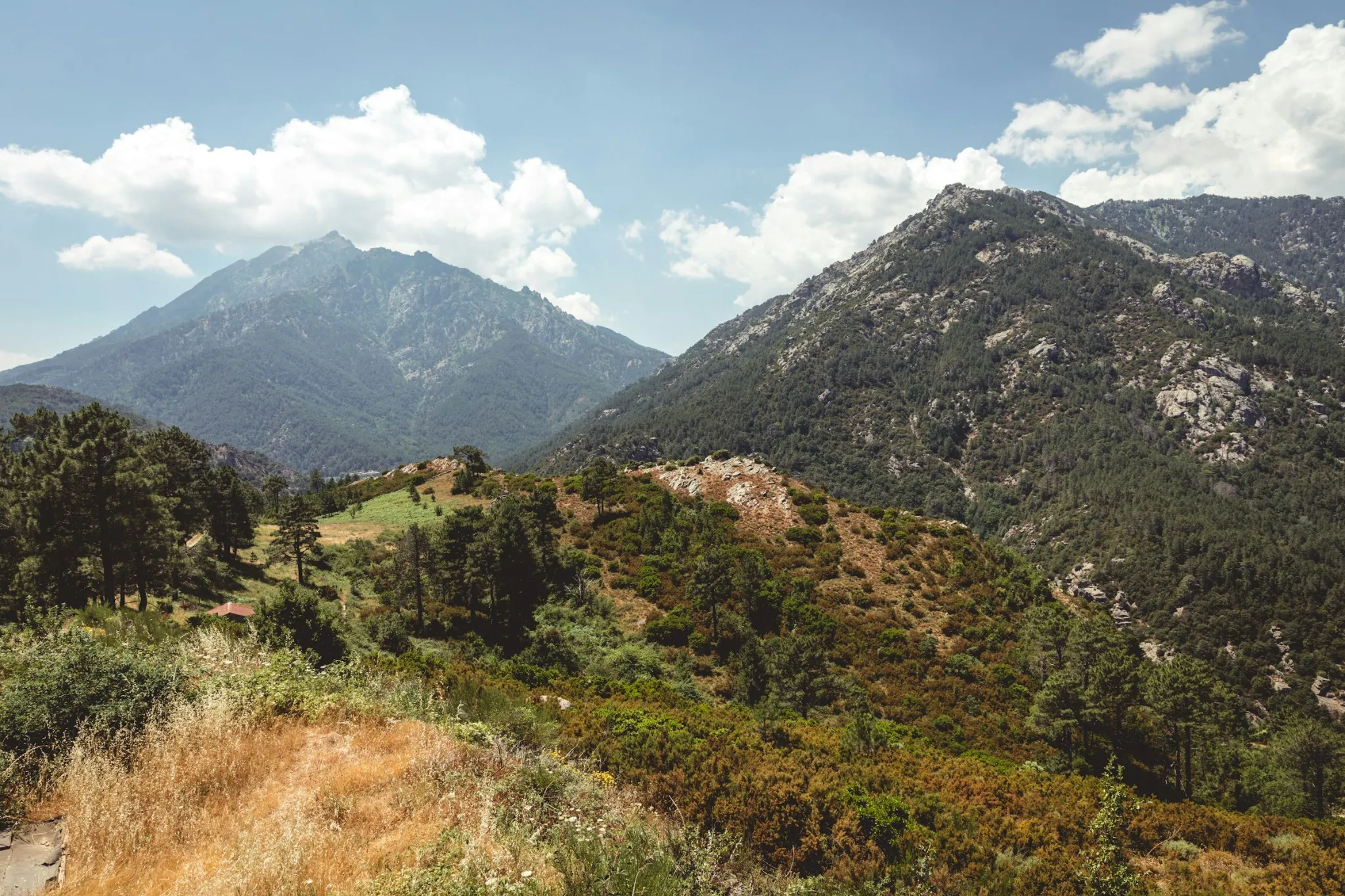 corsica natura