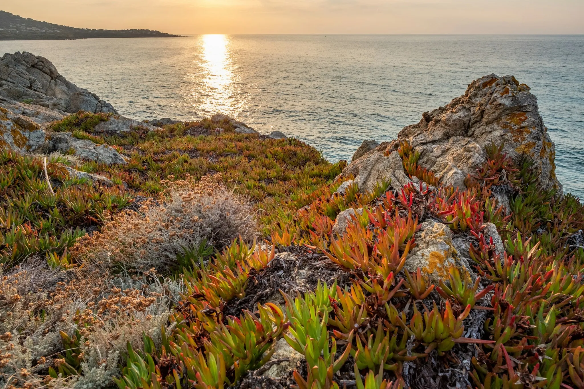 Una spiaggia della Corsica all'alba