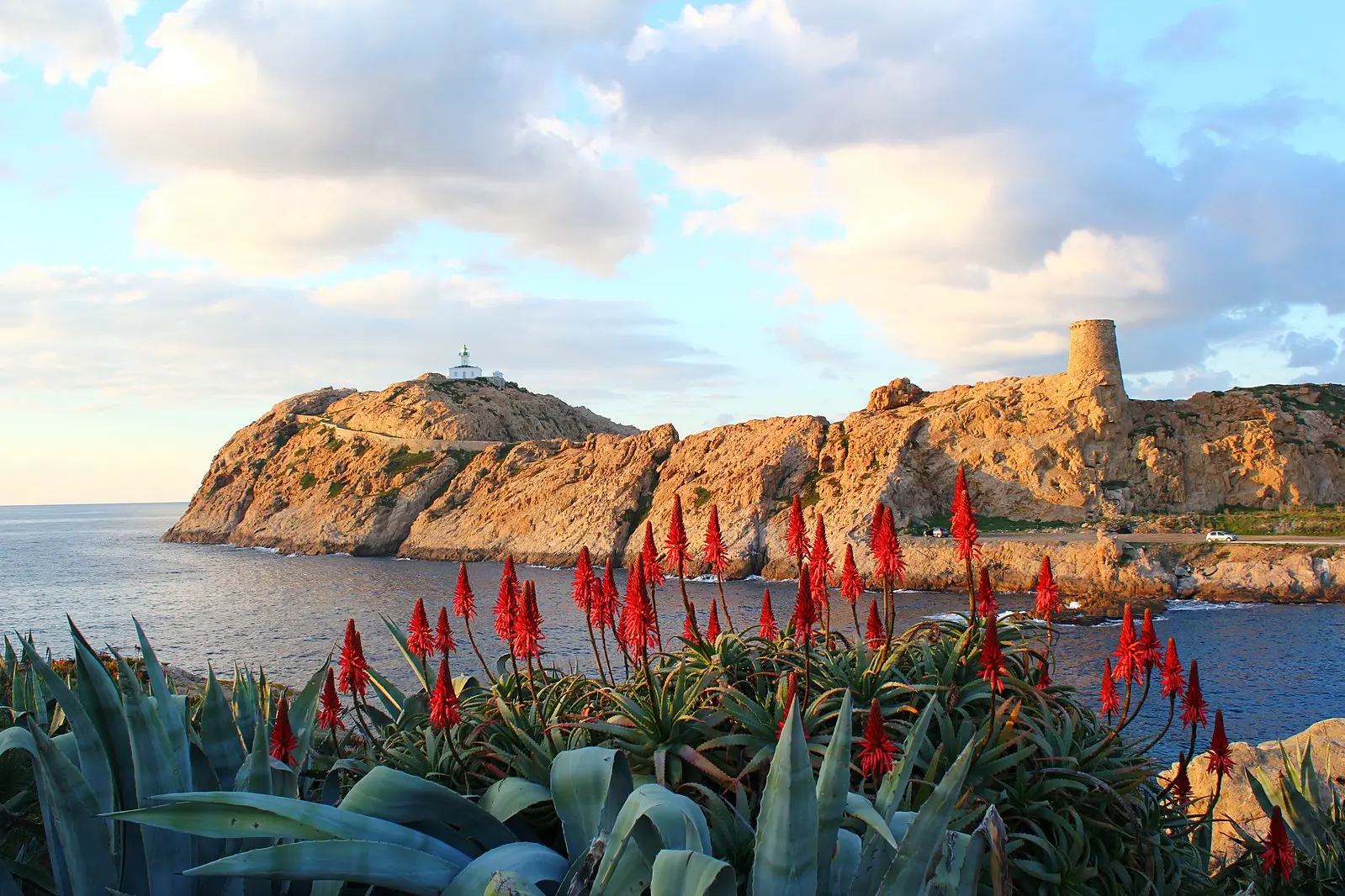 ile rousse alta corsica