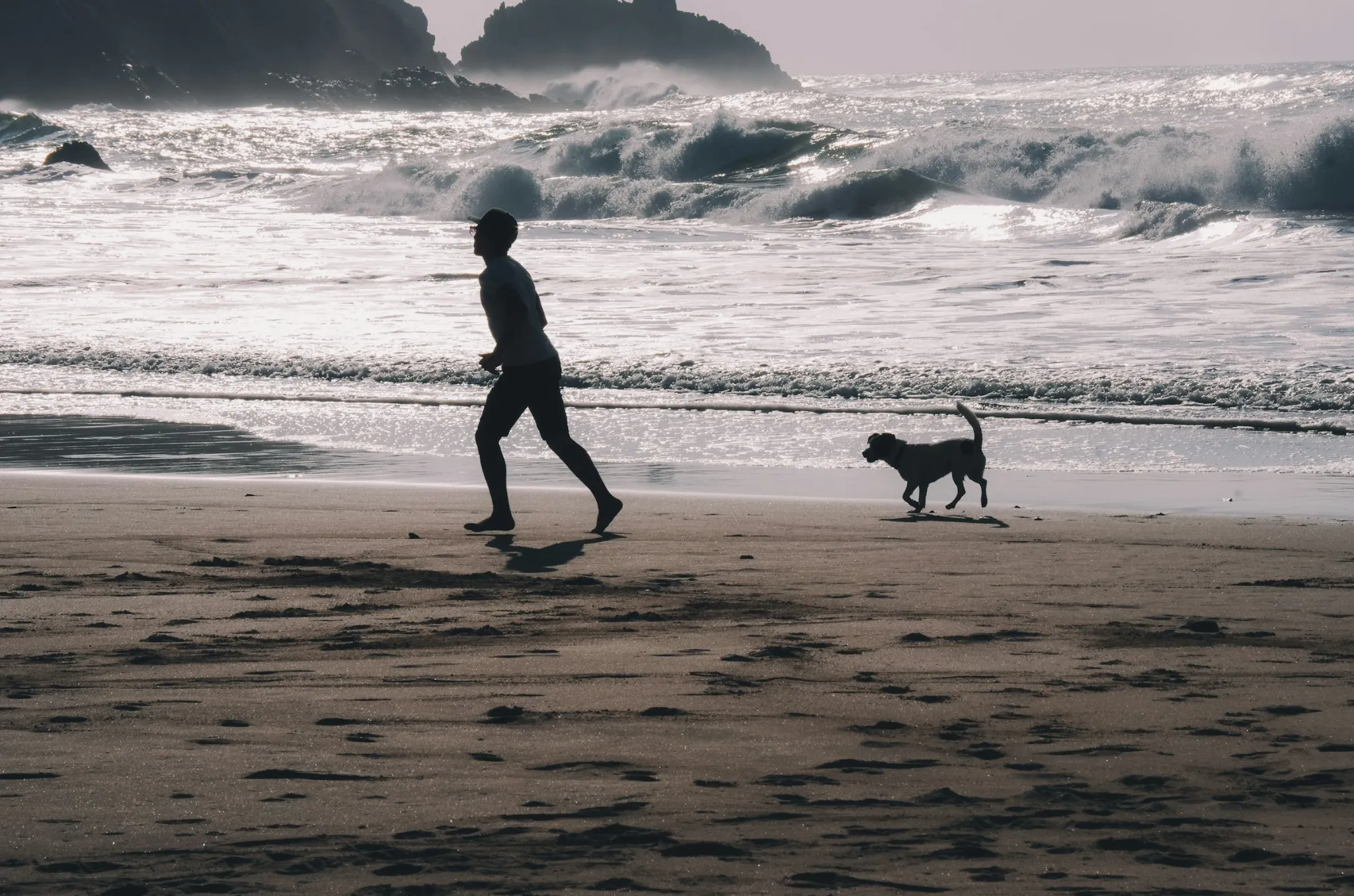 sulla spiagga col cane